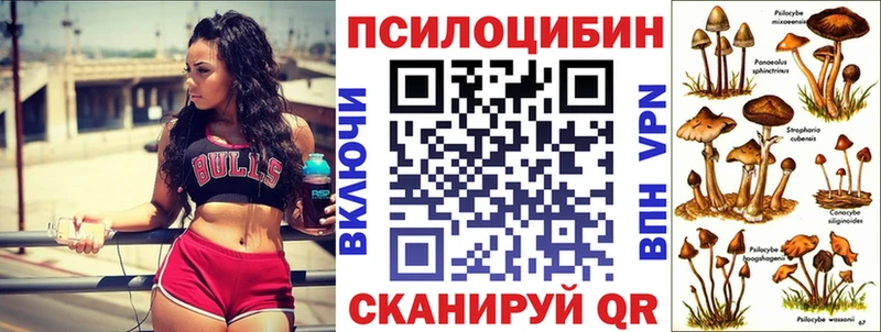 Галлюциногенные грибы Psilocybine cubensis  Купить где  Кувшиново 
